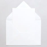 5 Cards with envelope | White