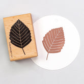 Stempel | Buchenblatt XL